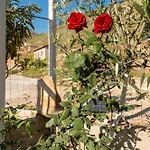 Duka * Σαράντα